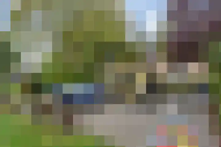 Trompet 2 De Lier thumbnail 43