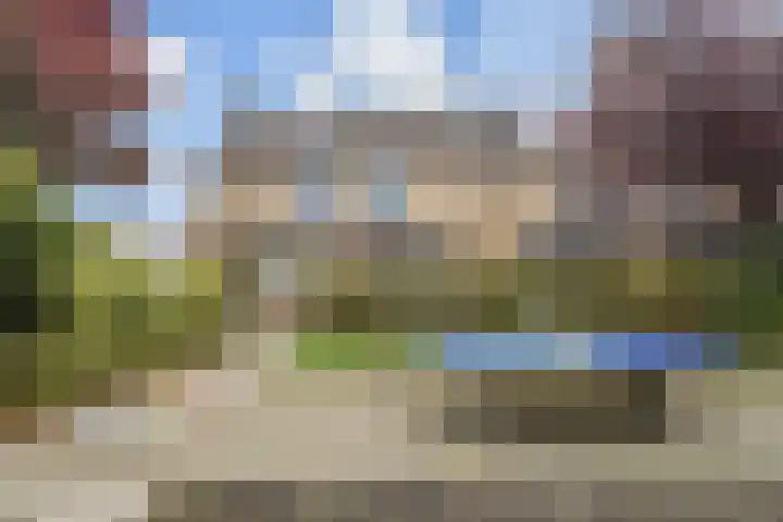 Trompet 2 De Lier thumbnail 44