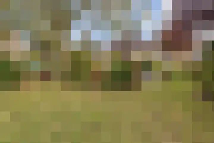 Trompet 2 De Lier thumbnail 46