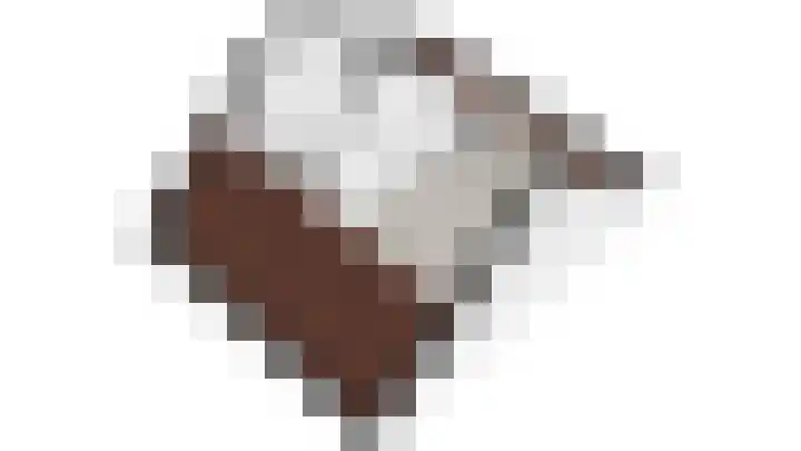 Trompet 2 De Lier thumbnail 52