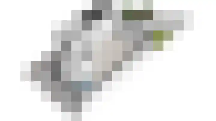 Trompet 2 De Lier thumbnail 54