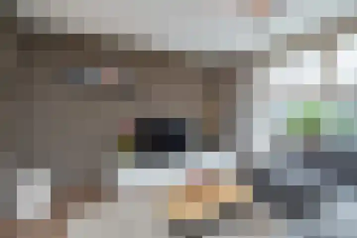 Trompet 2 De Lier thumbnail 9