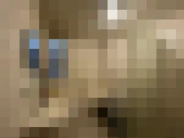 Trompet 28 's-Hertogenbosch thumbnail 6
