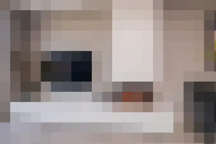 Trompet 33 De Lier thumbnail 11