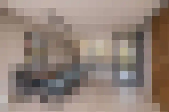 Trompet 33 De Lier thumbnail 12