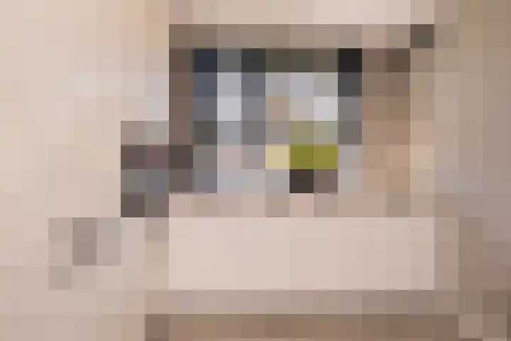 Trompet 33 De Lier thumbnail 14