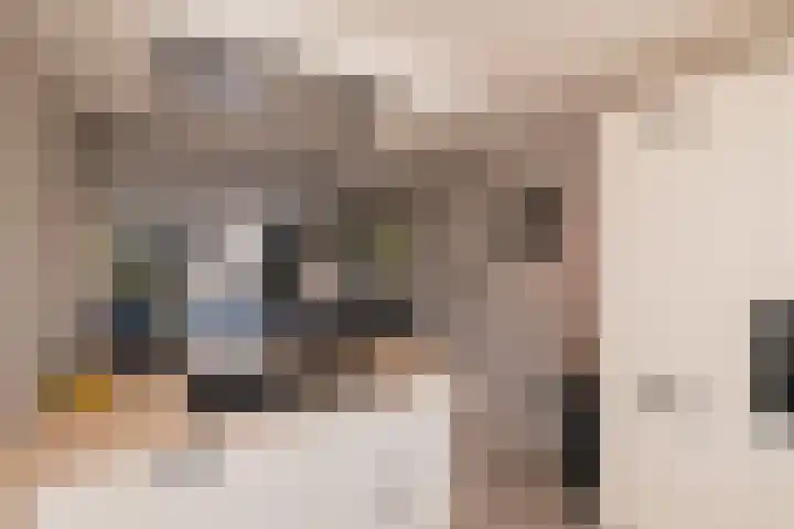 Trompet 33 De Lier thumbnail 15