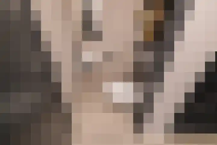 Trompet 33 De Lier thumbnail 17