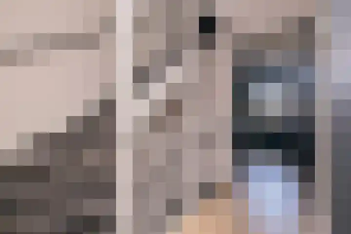 Trompet 33 De Lier thumbnail 18