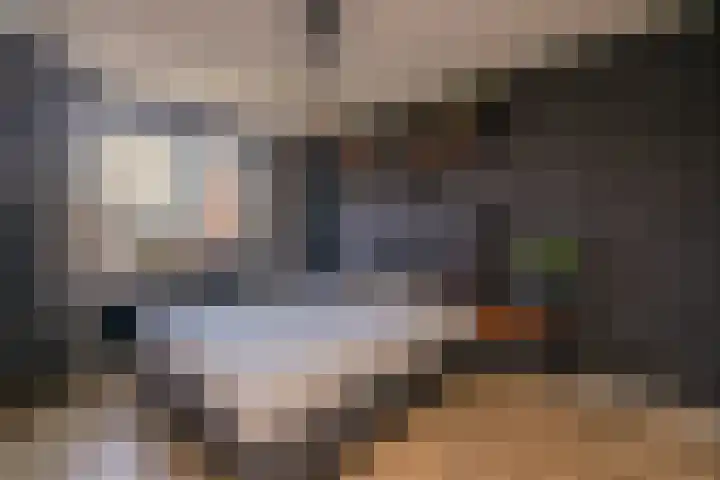 Trompet 33 De Lier thumbnail 19