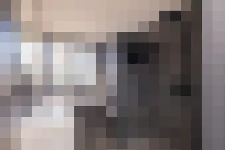 Trompet 33 De Lier thumbnail 22