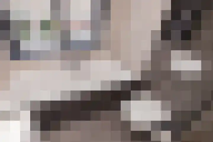 Trompet 33 De Lier thumbnail 24
