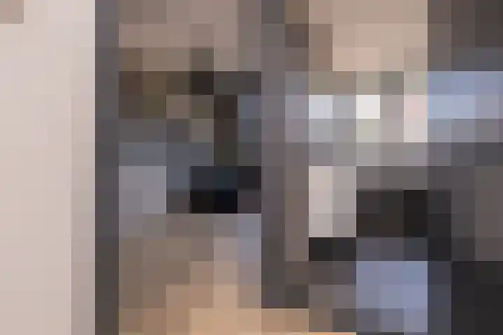 Trompet 33 De Lier thumbnail 26