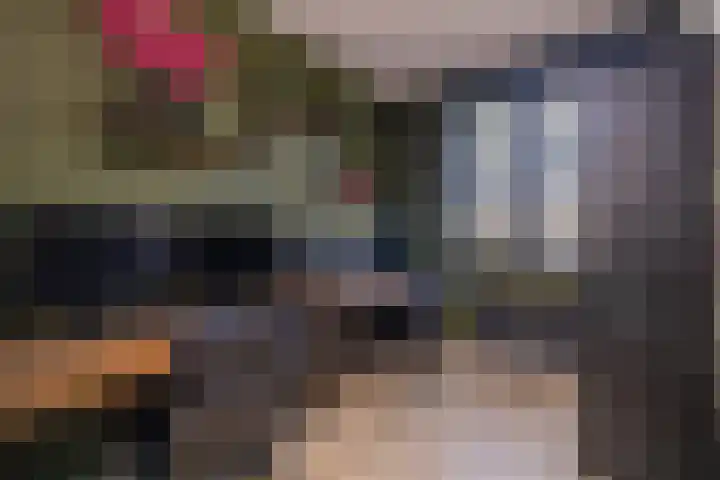 Trompet 33 De Lier thumbnail 30