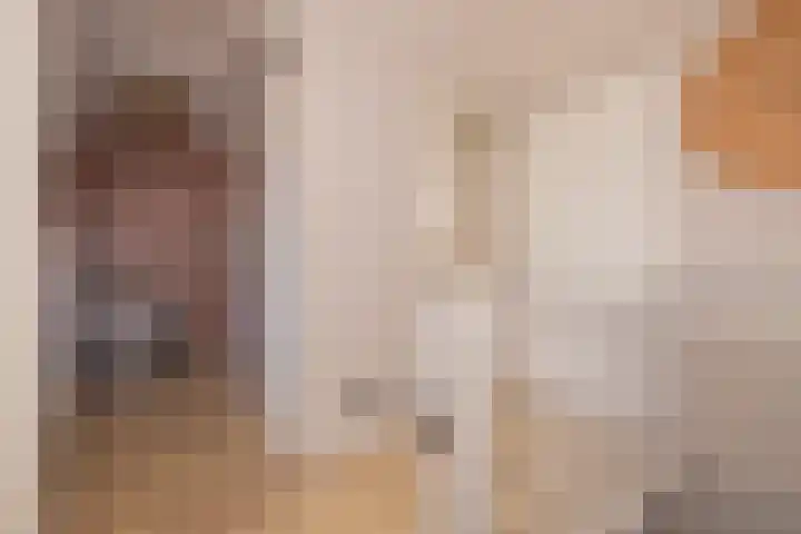 Trompet 33 De Lier thumbnail 32