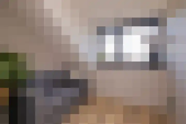 Trompet 33 De Lier thumbnail 35
