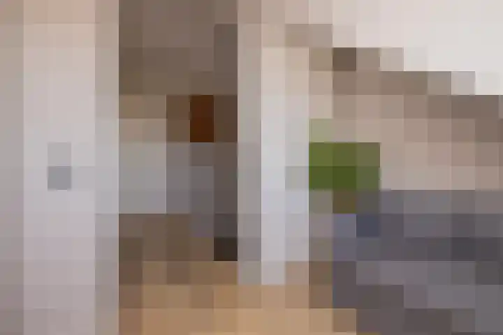 Trompet 33 De Lier thumbnail 36