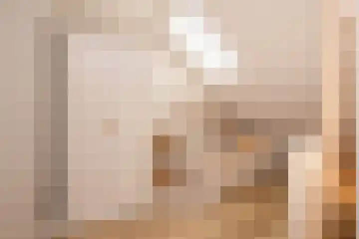 Trompet 33 De Lier thumbnail 37