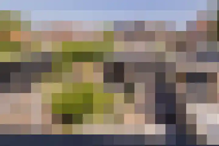 Trompet 33 De Lier thumbnail 41