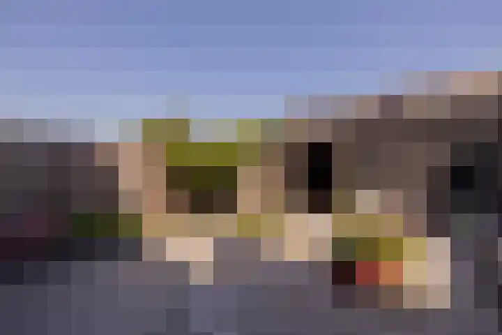 Trompet 33 De Lier thumbnail 42