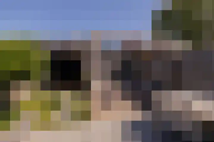 Trompet 33 De Lier thumbnail 43