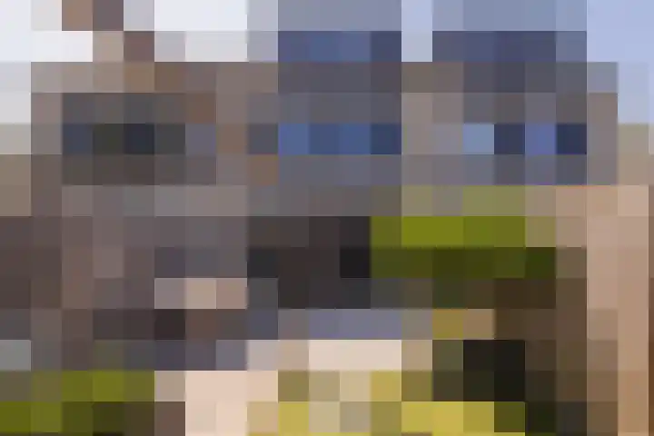 Trompet 33 De Lier thumbnail 44