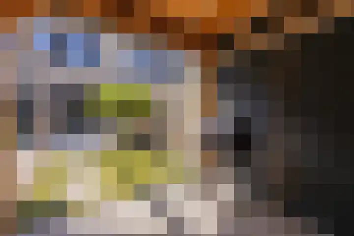 Trompet 33 De Lier thumbnail 47