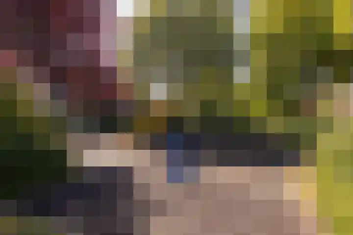 Trompet 33 De Lier thumbnail 48
