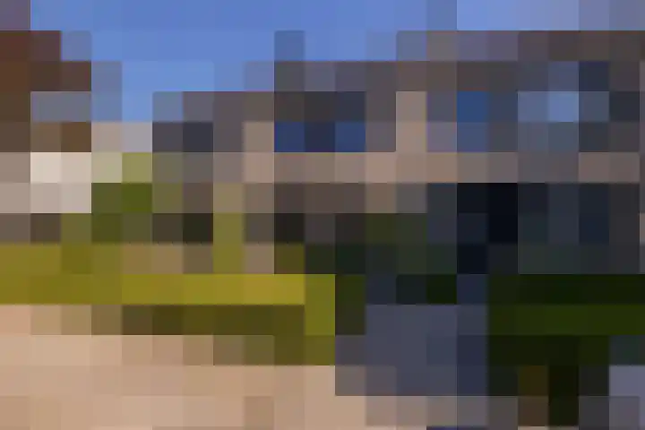 Trompet 33 De Lier thumbnail 49