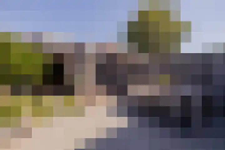 Trompet 33 De Lier thumbnail 5