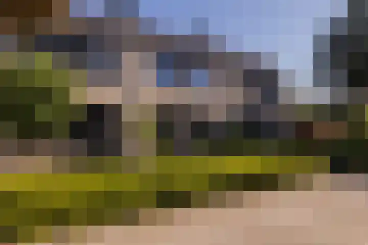 Trompet 33 De Lier thumbnail 50