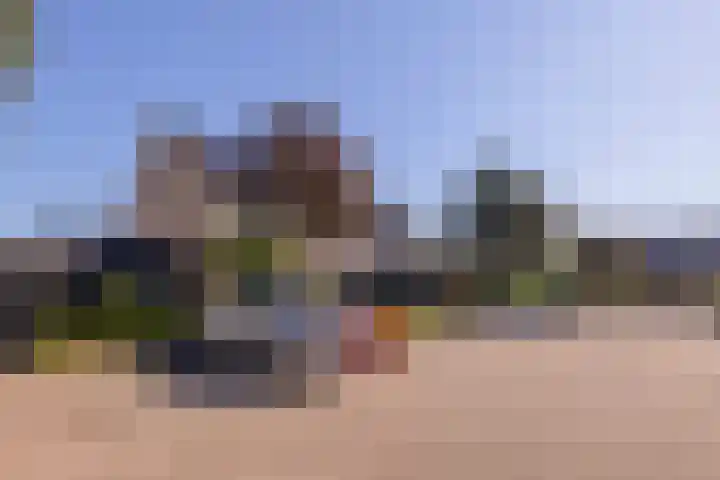 Trompet 33 De Lier thumbnail 52