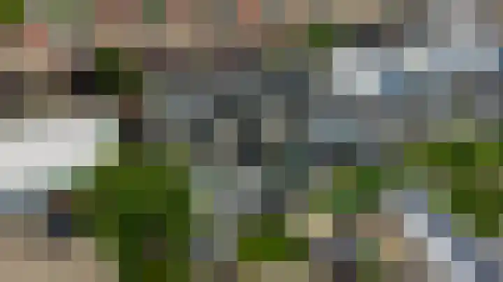 Trompet 33 De Lier thumbnail 53