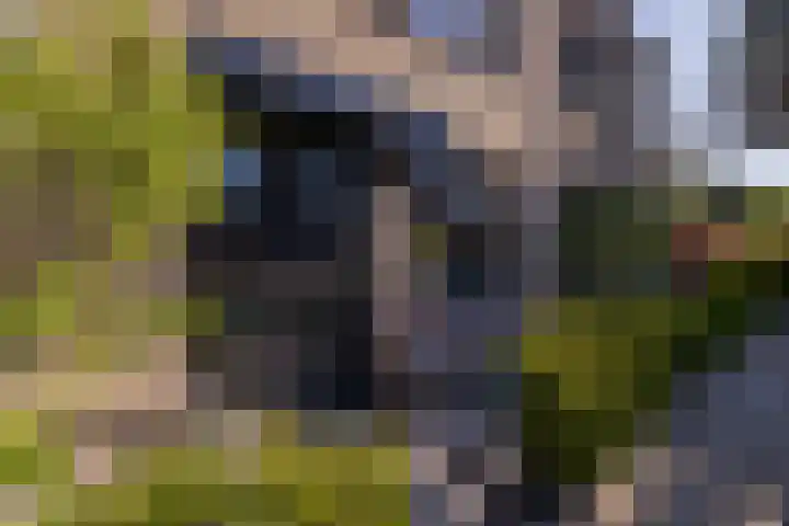 Trompet 33 De Lier thumbnail 6