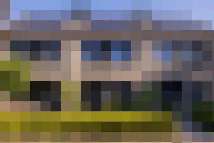 Trompet 33 De Lier thumbnail 64