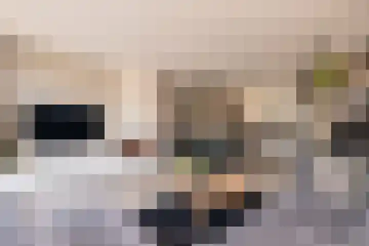 Trompet 33 De Lier thumbnail 9