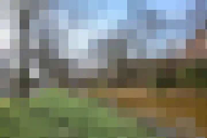Trompet 38 's-Hertogenbosch thumbnail 36