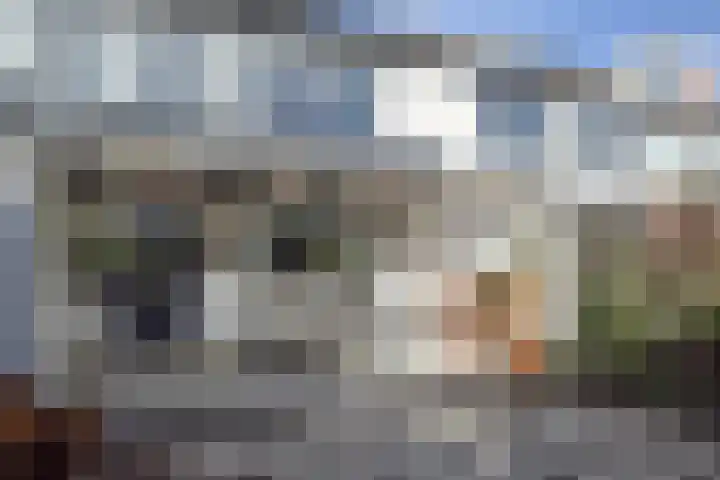 Trompet 38 's-Hertogenbosch thumbnail 6