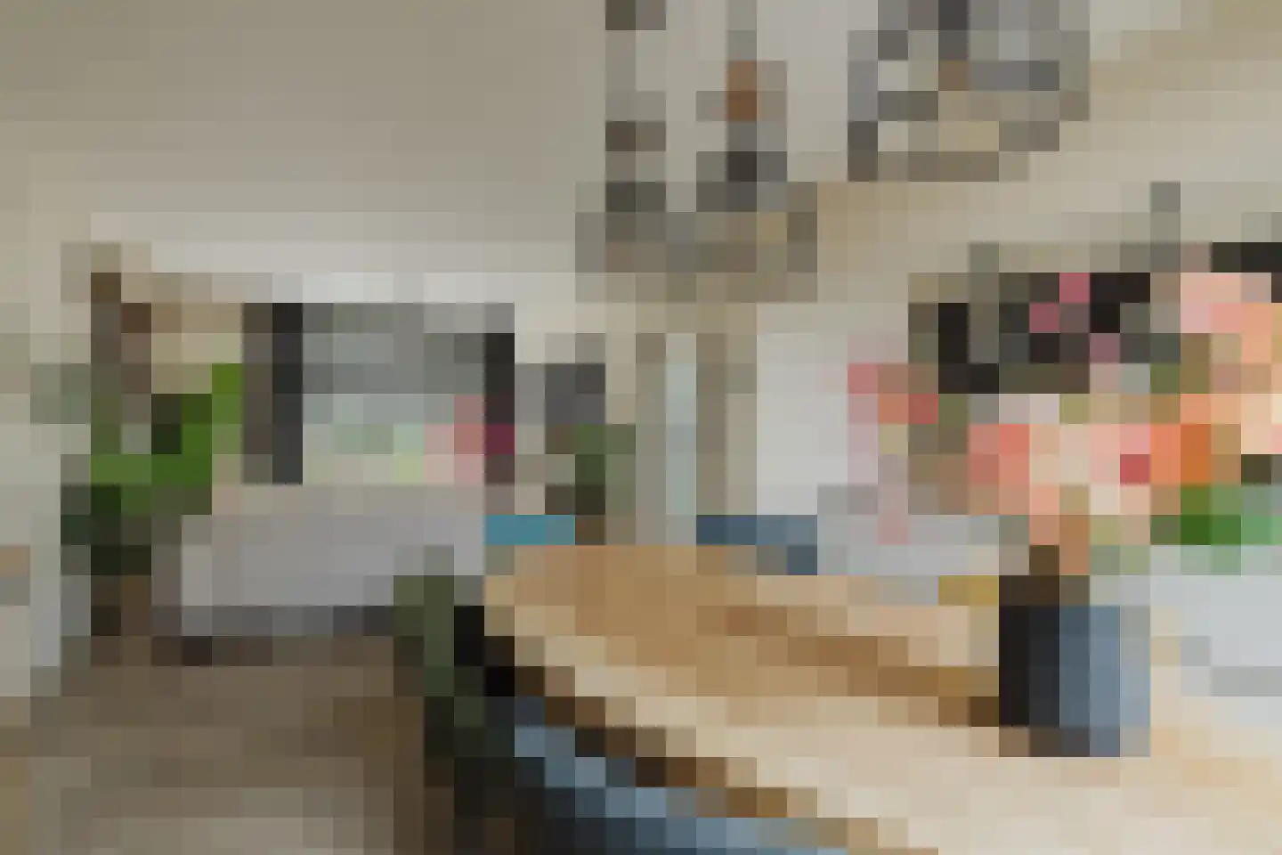 Trompet 68 's-Hertogenbosch thumbnail 18