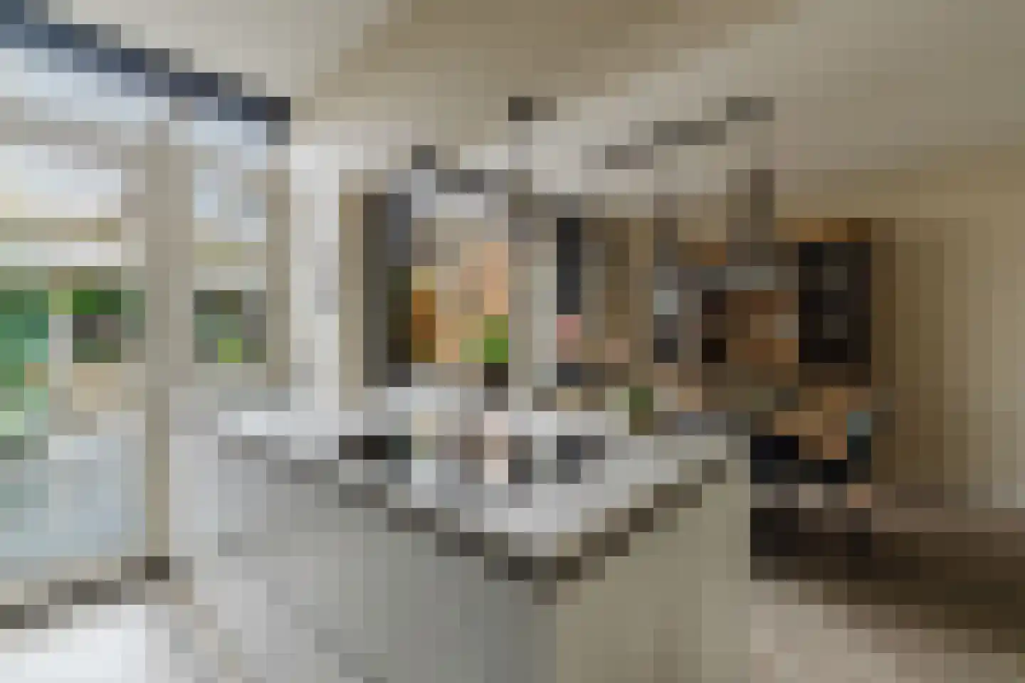 Trompet 68 's-Hertogenbosch thumbnail 21