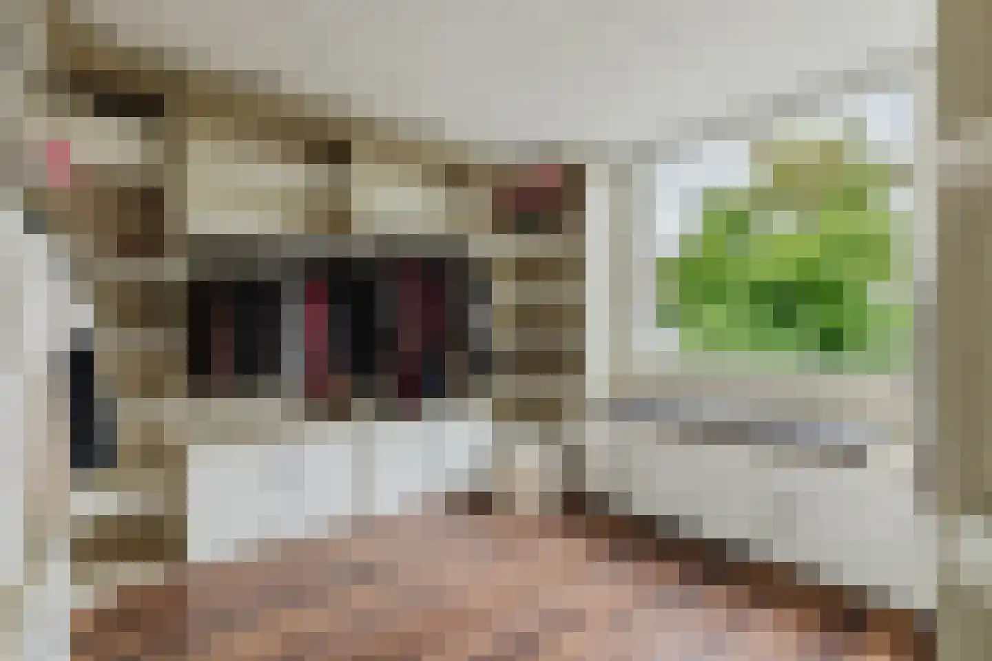 Trompet 68 's-Hertogenbosch thumbnail 31