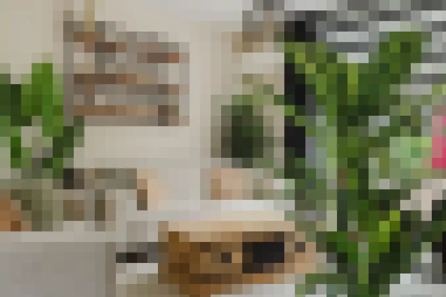 Trompet 68 's-Hertogenbosch thumbnail 4
