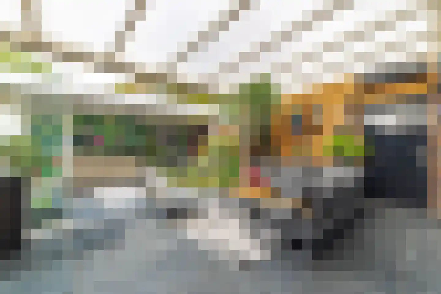 Trompet 68 's-Hertogenbosch thumbnail 44
