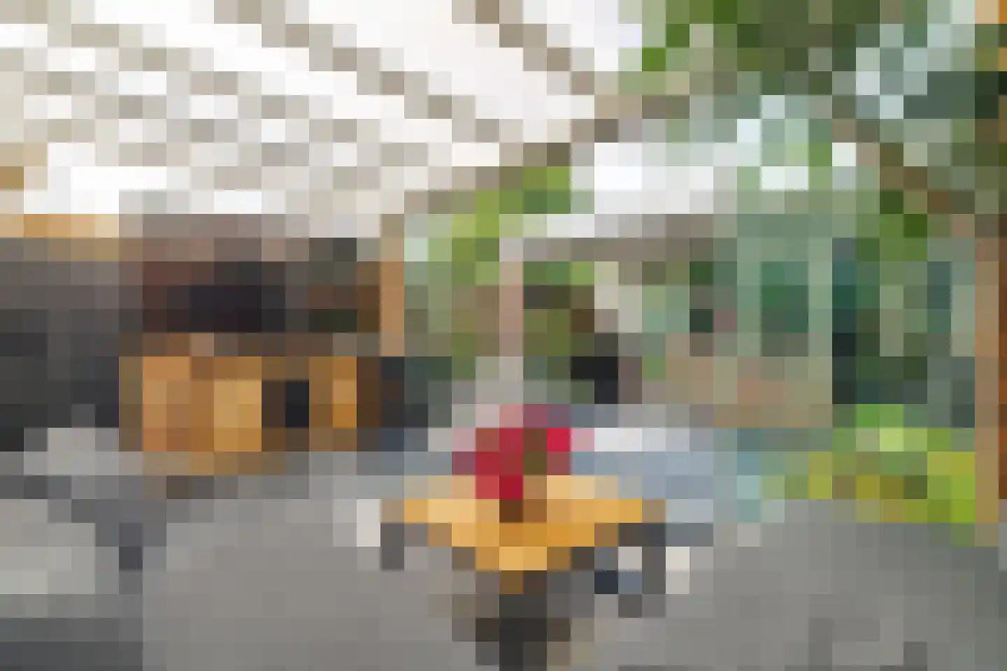 Trompet 68 's-Hertogenbosch thumbnail 45