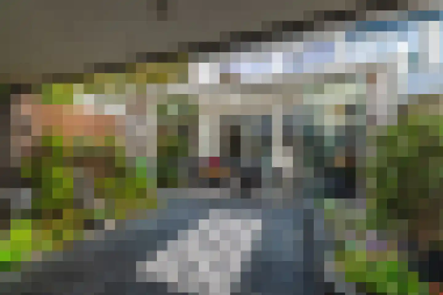 Trompet 68 's-Hertogenbosch thumbnail 5