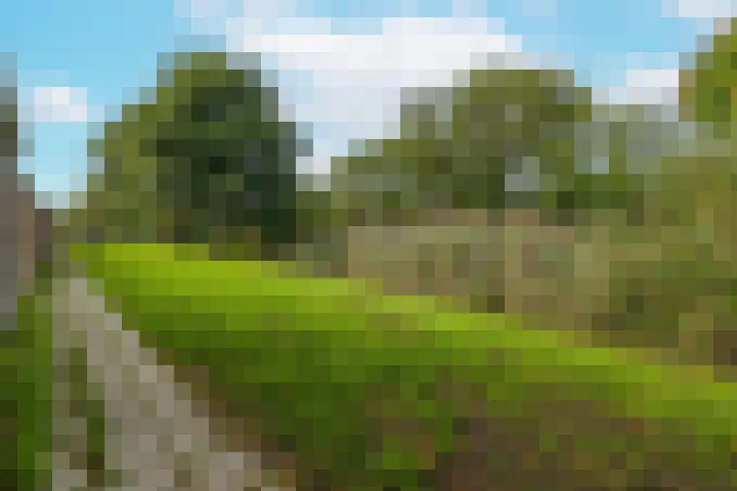 Trompet 68 's-Hertogenbosch thumbnail 54