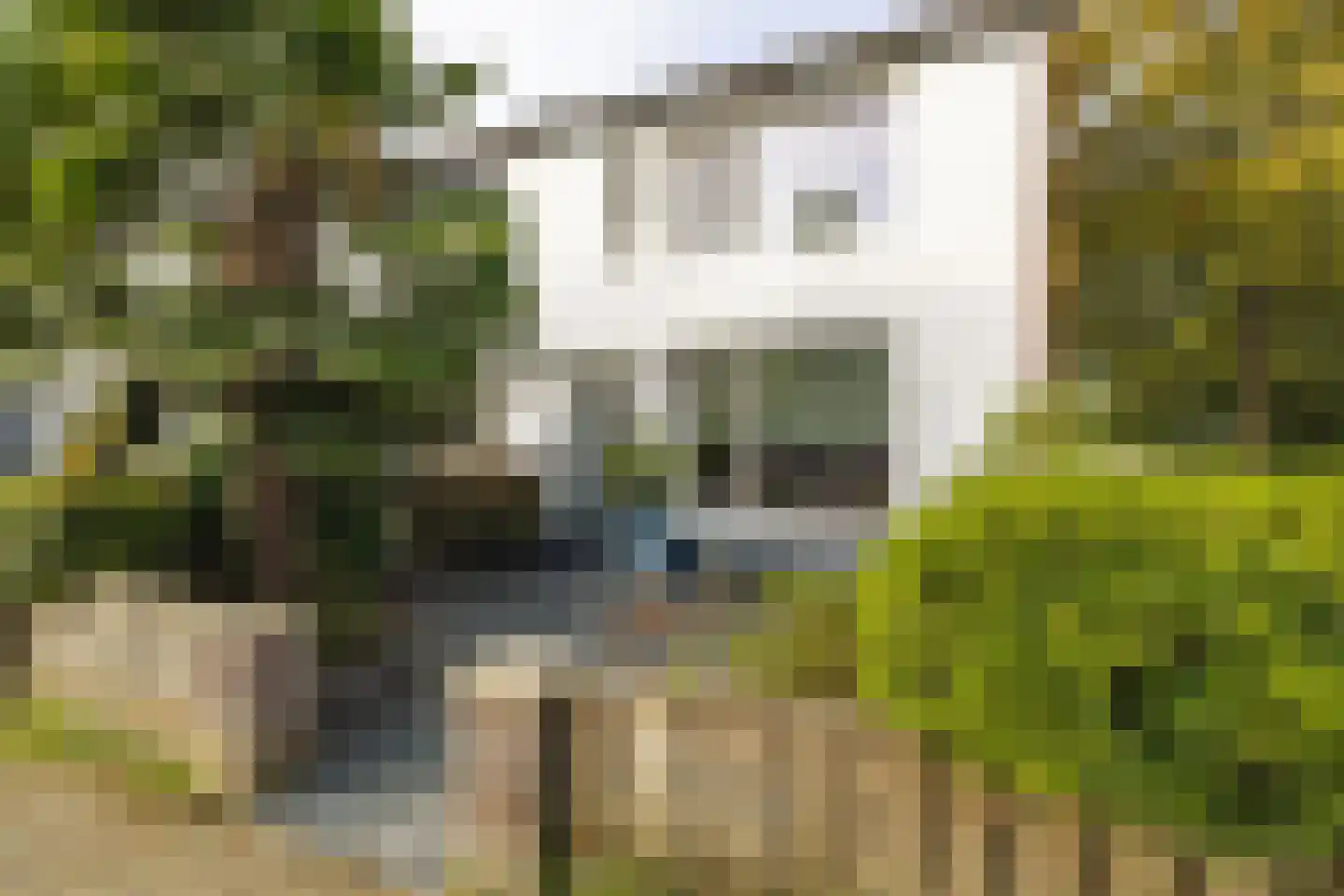 Trompet 68 's-Hertogenbosch thumbnail 6