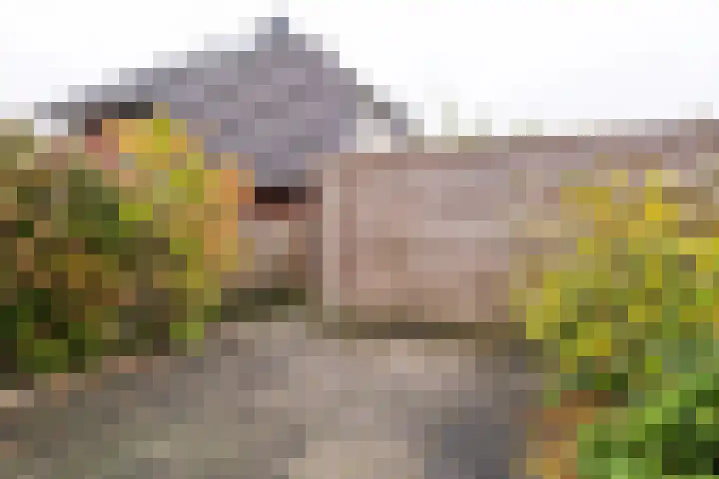 Trompetbloemlaan 30 Vleuten thumbnail 14
