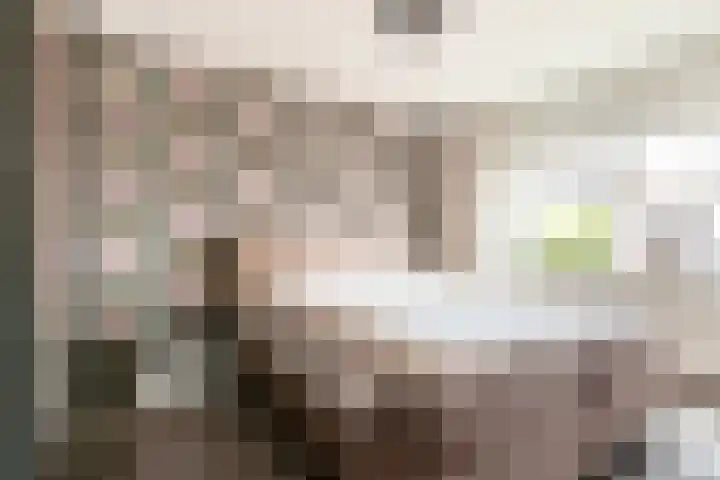 Trompetdreef 16 Harderwijk thumbnail 13