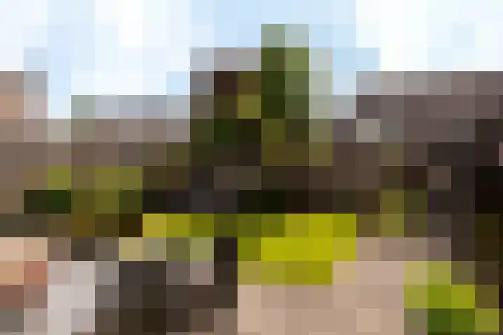 Trompetdreef 16 Harderwijk thumbnail 25